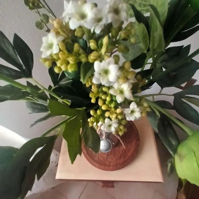 La Casa Di Mamma, Appartamento Di Charme Nel Borgo Luogosanto Apartment