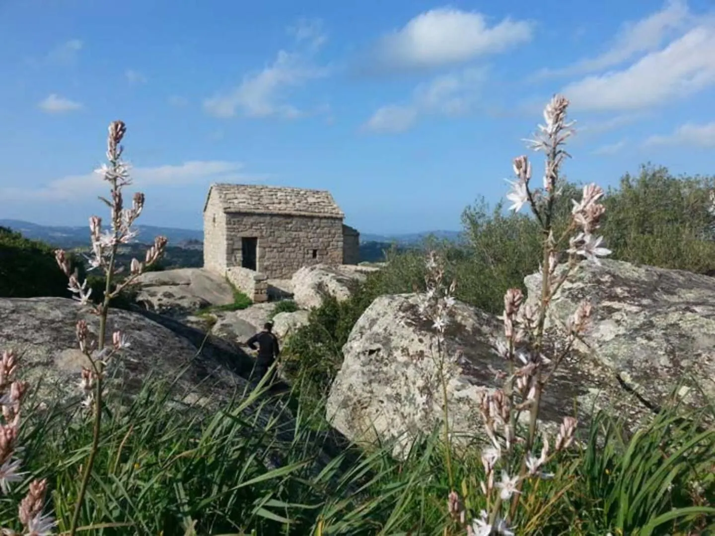La Casa Di Mamma, Appartamento Di Charme Nel Borgo Luogosanto